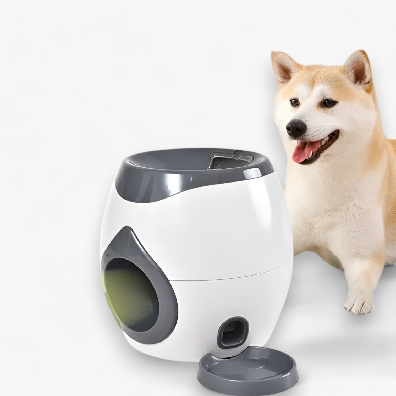 Kipper | Distributeur Intelligent de Tennis et de Collations pour Chiens