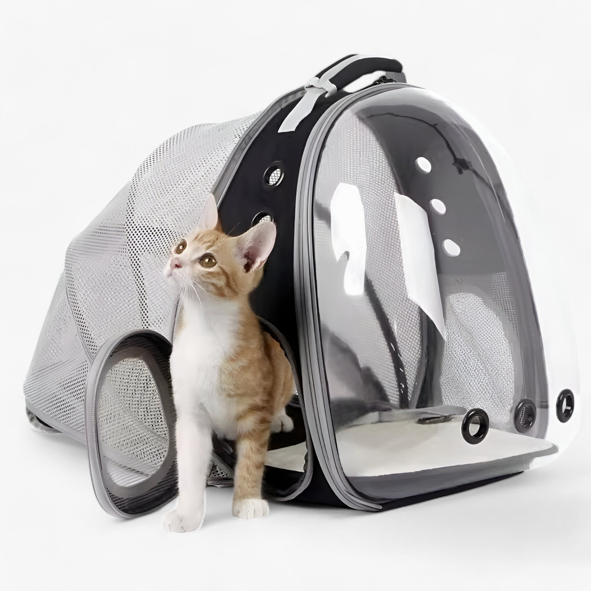 Luna | Grand Sac à Dos d'Astronaute pour Chats avec Fenêtre Bulle