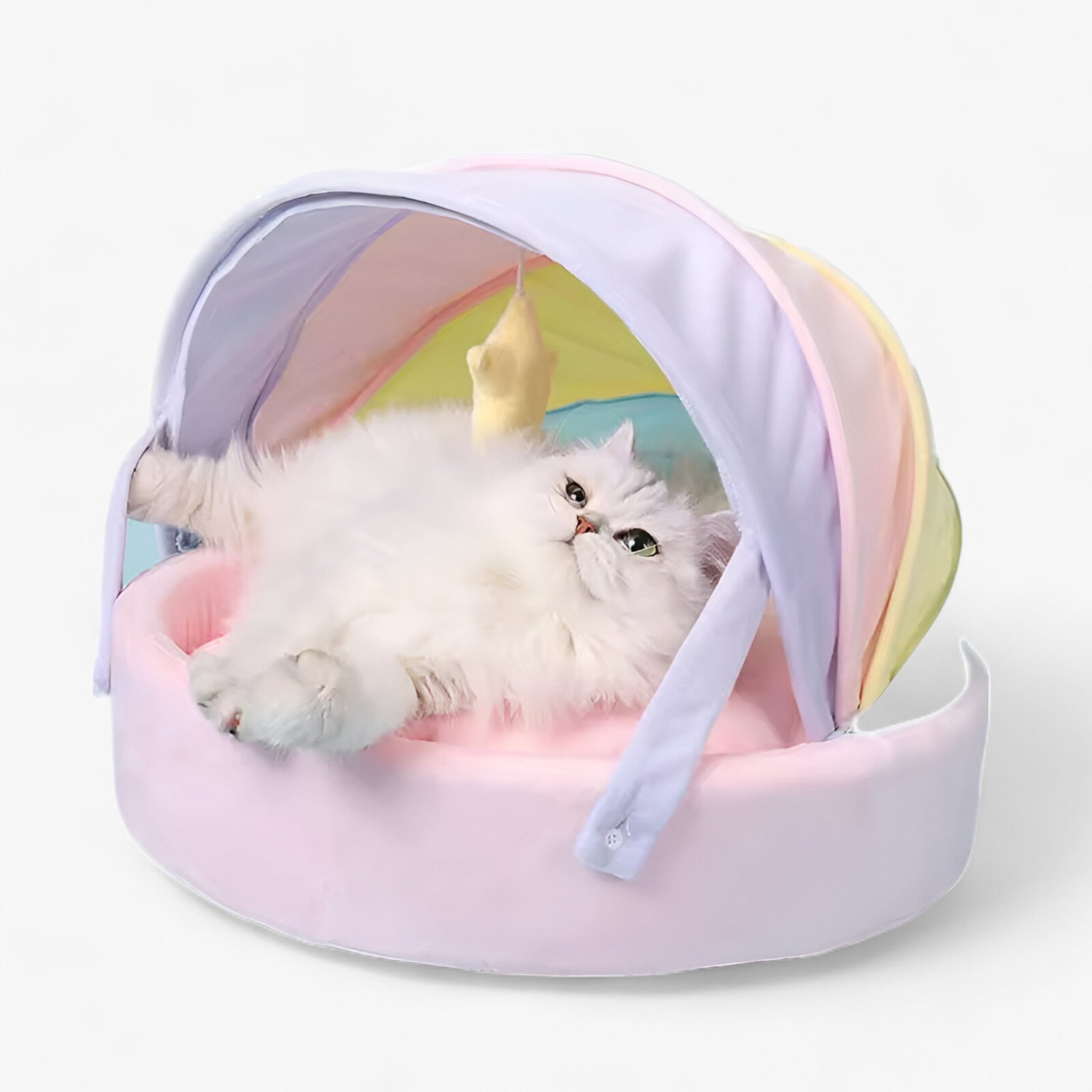 PuffyPaws | Maison pour Chats Arc-en-Ciel