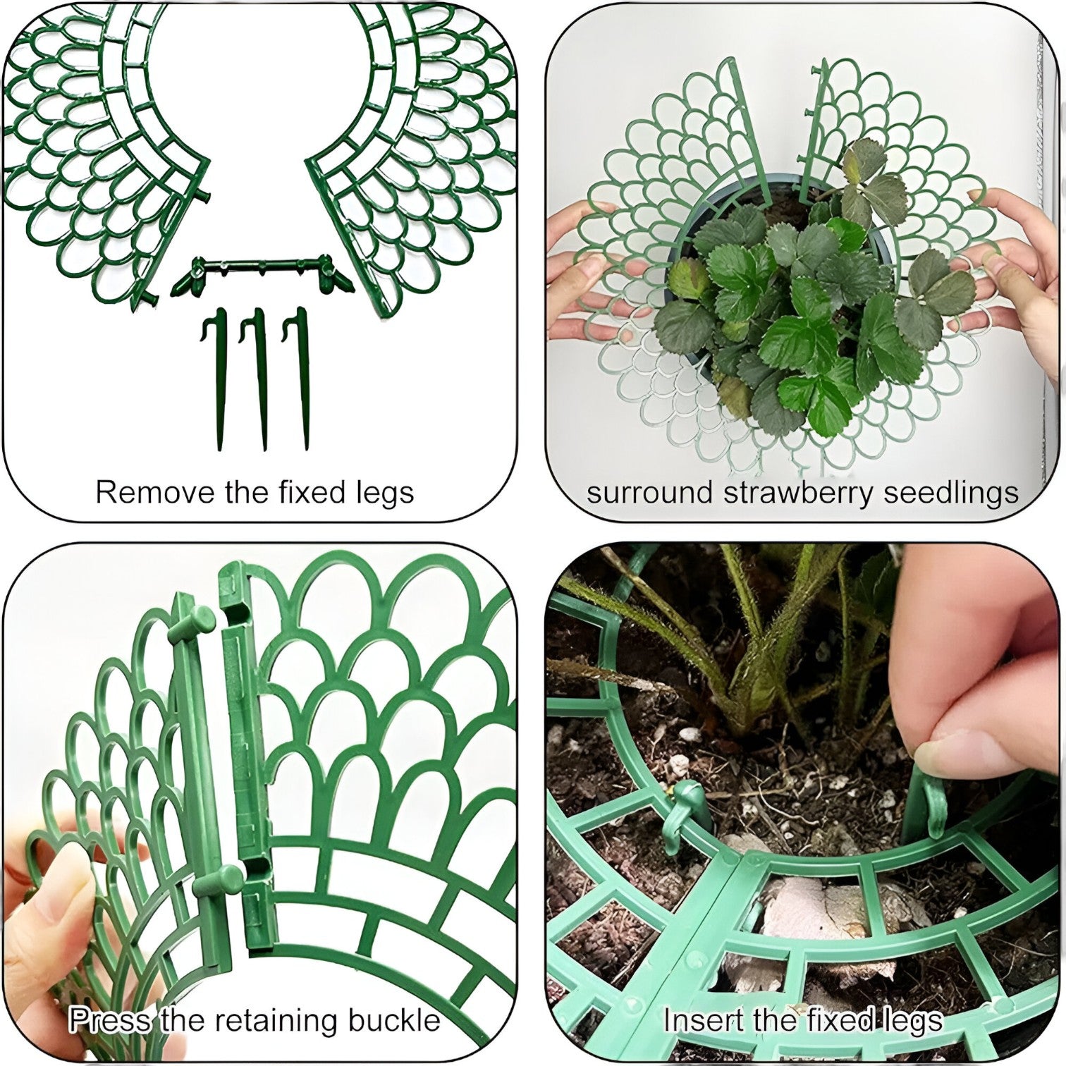 Stella | Supports pour plants de fraises pour une croissance saine