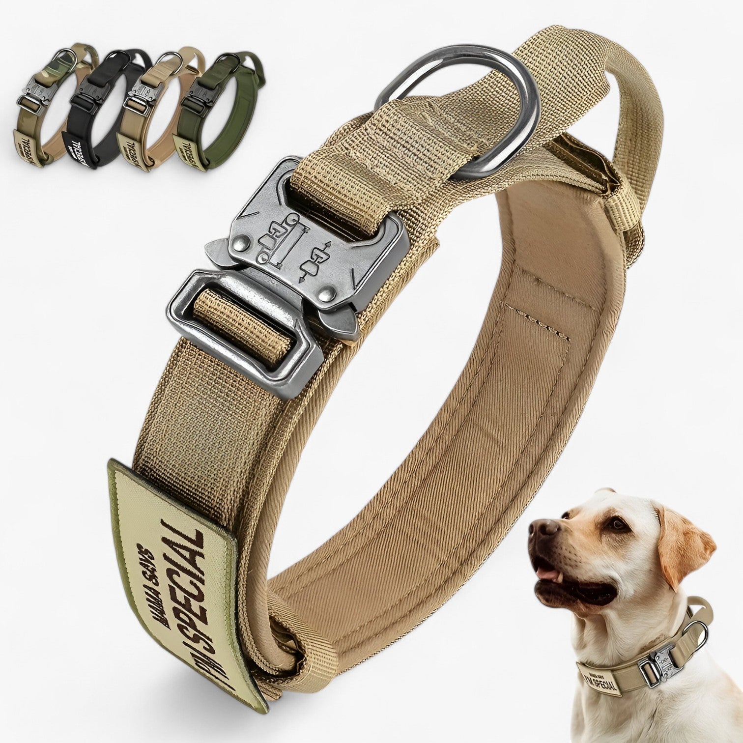 Brodie| Collier de chien tactique avec poignée pour l'entraînement