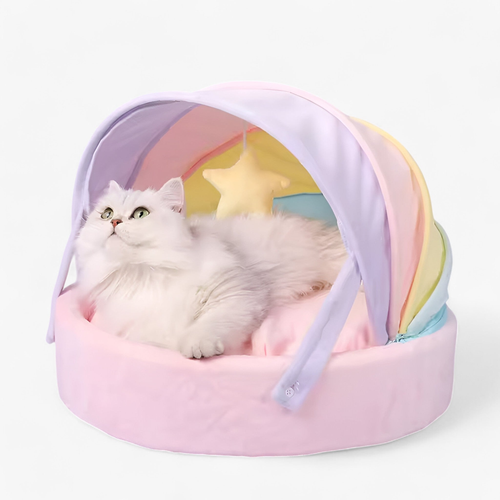 PuffyPaws | Maison pour Chats Arc-en-Ciel