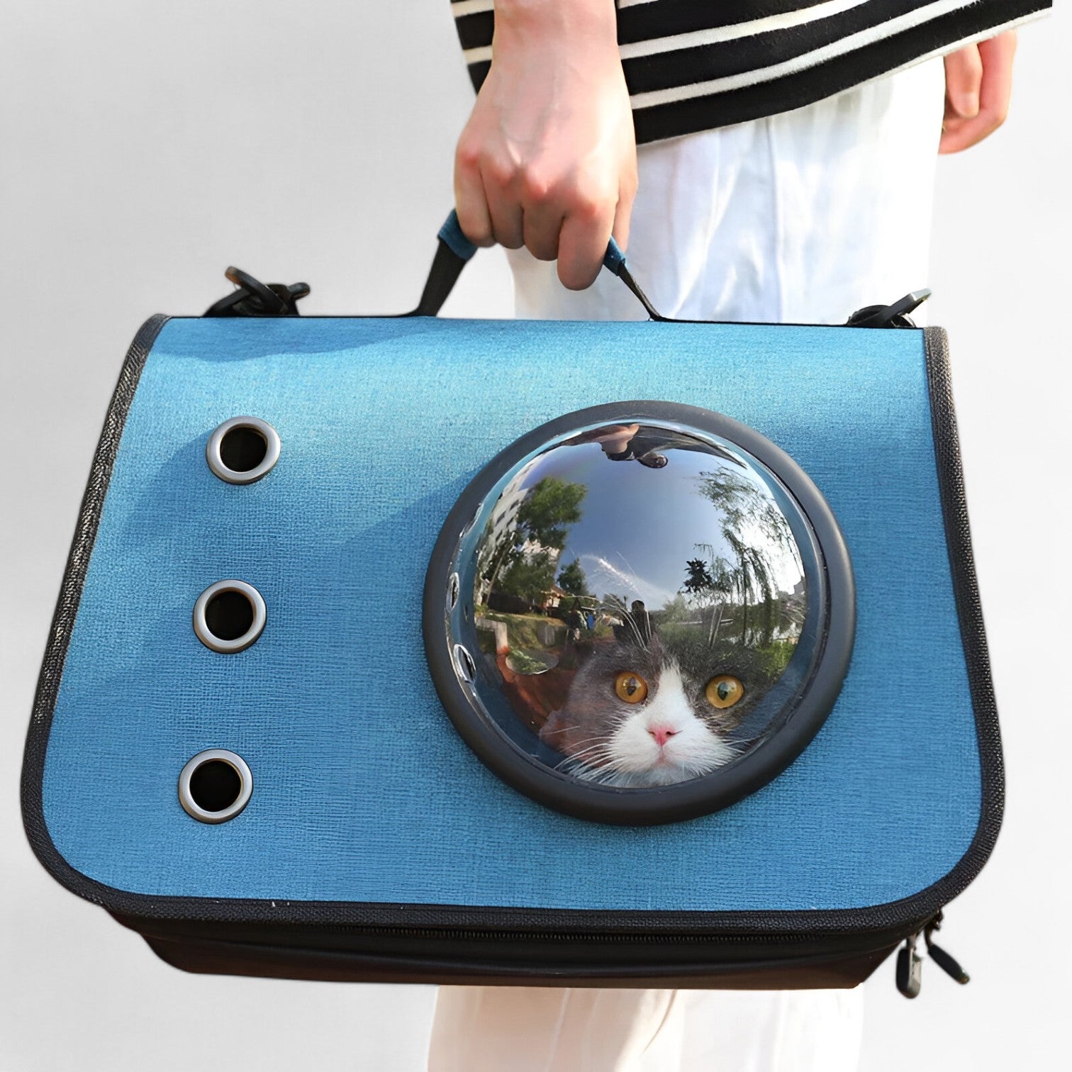 Zoë | Sac de transport pour chat transparent et respirant pour les voyages