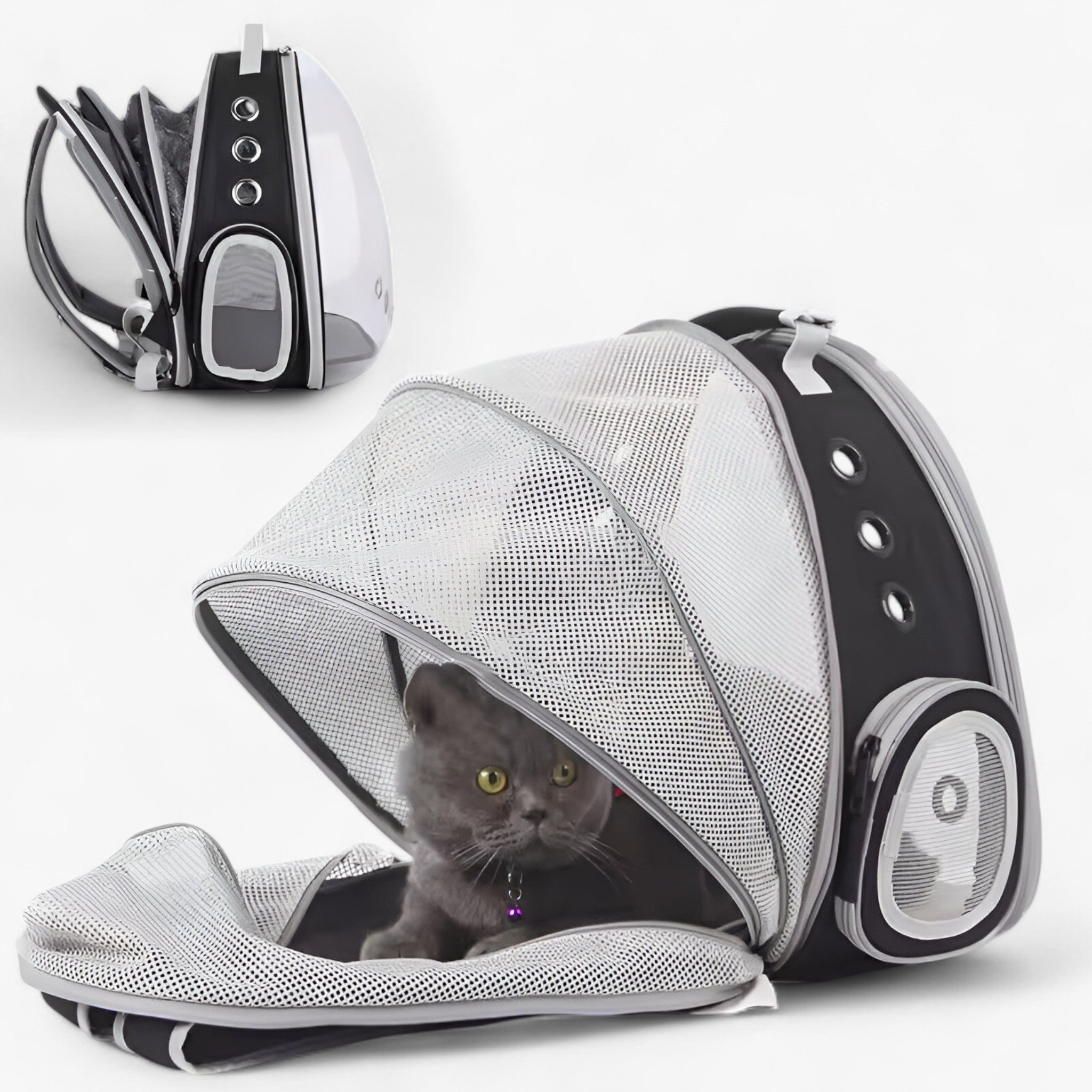 Luna | Grand Sac à Dos d'Astronaute pour Chats avec Fenêtre Bulle