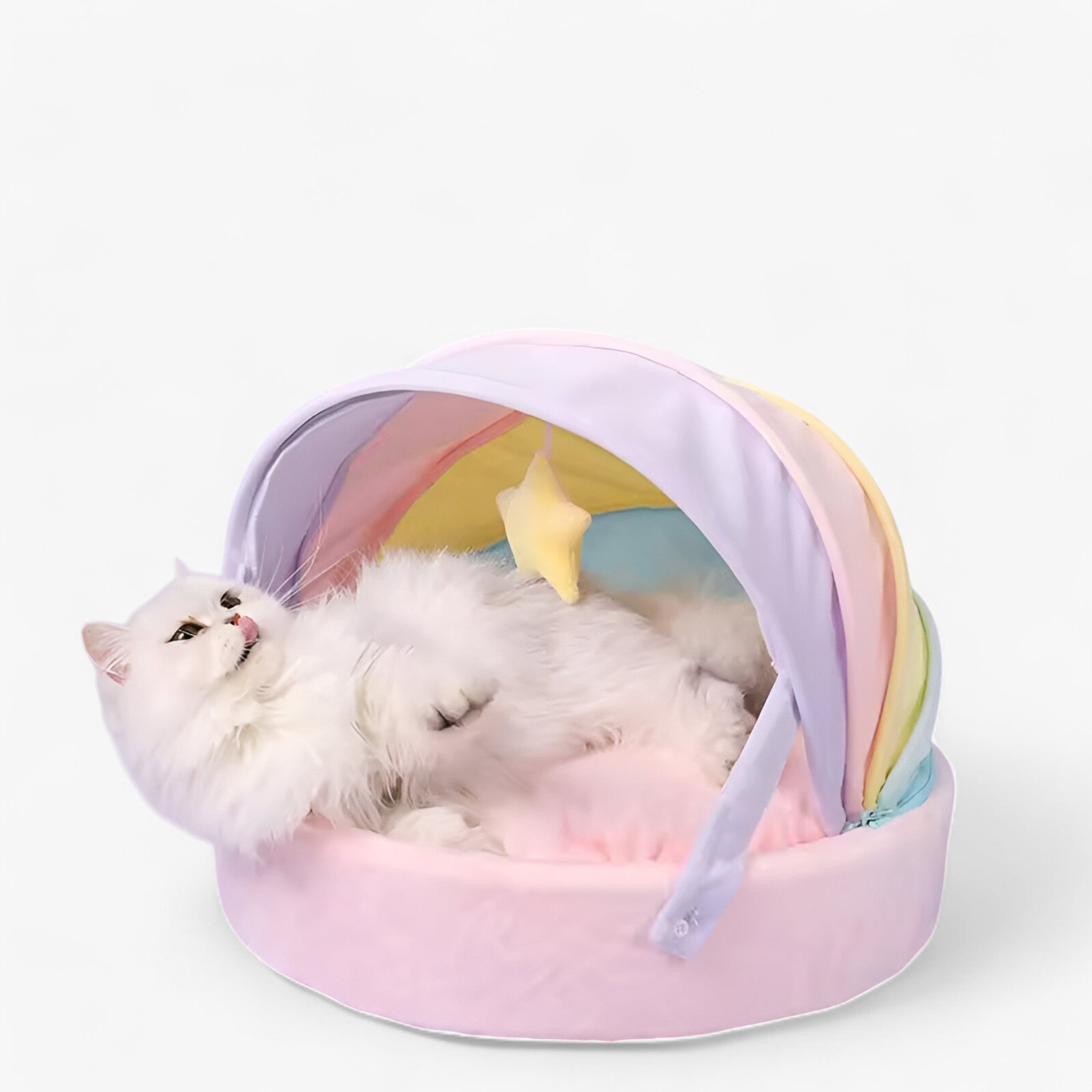 PuffyPaws | Maison pour Chats Arc-en-Ciel