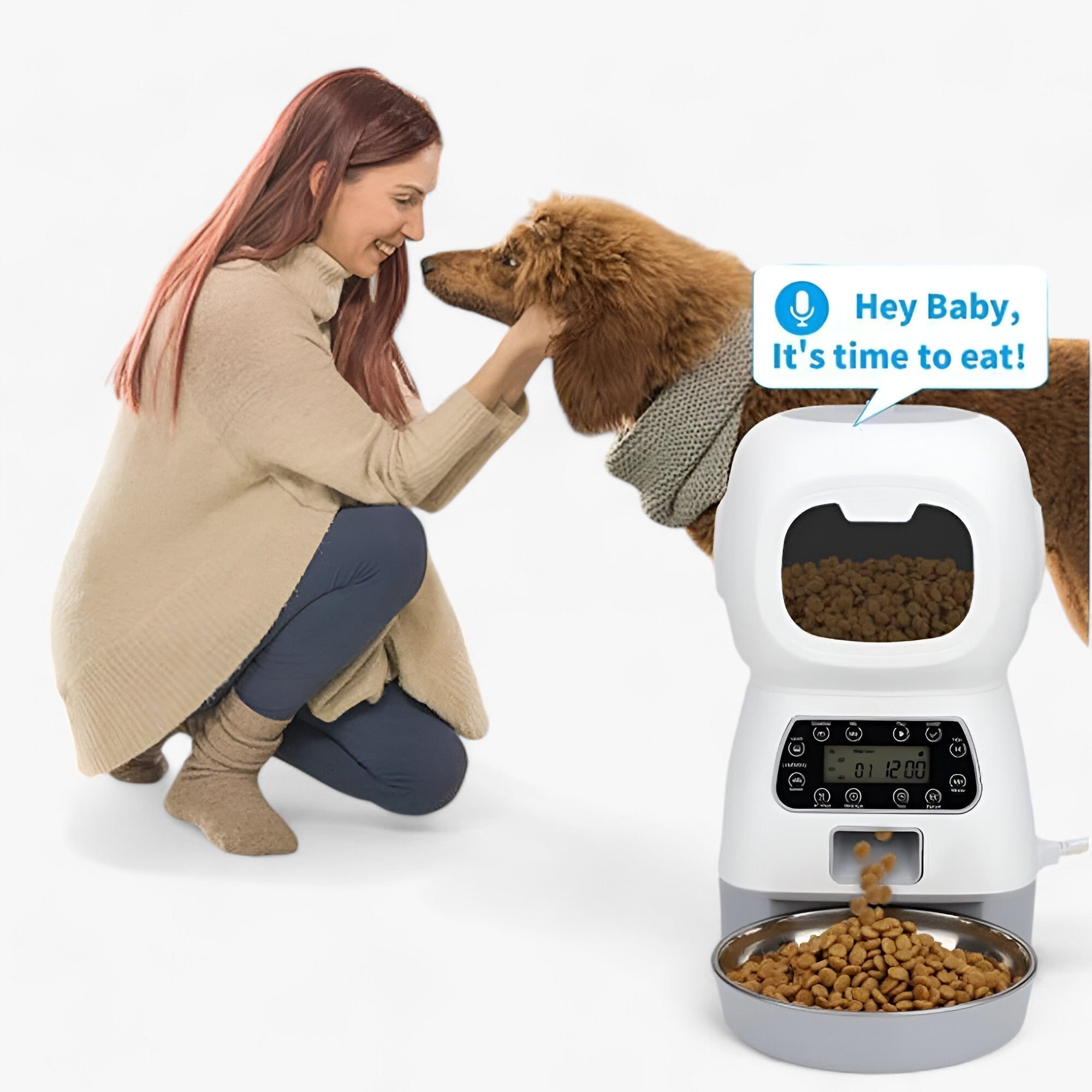 Distributeur automatique de nourriture pour animaux