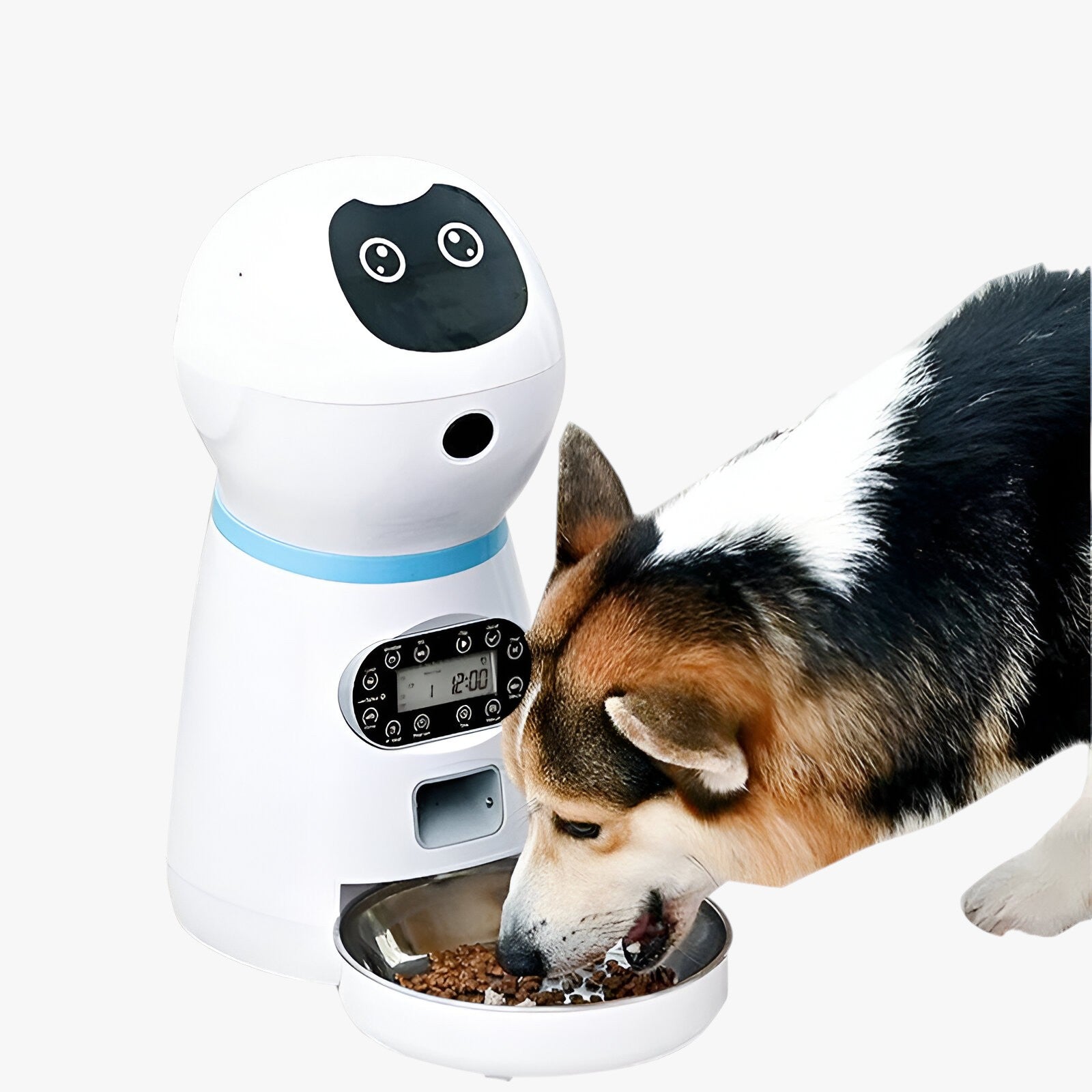 Distributeur automatique de nourriture pour animaux