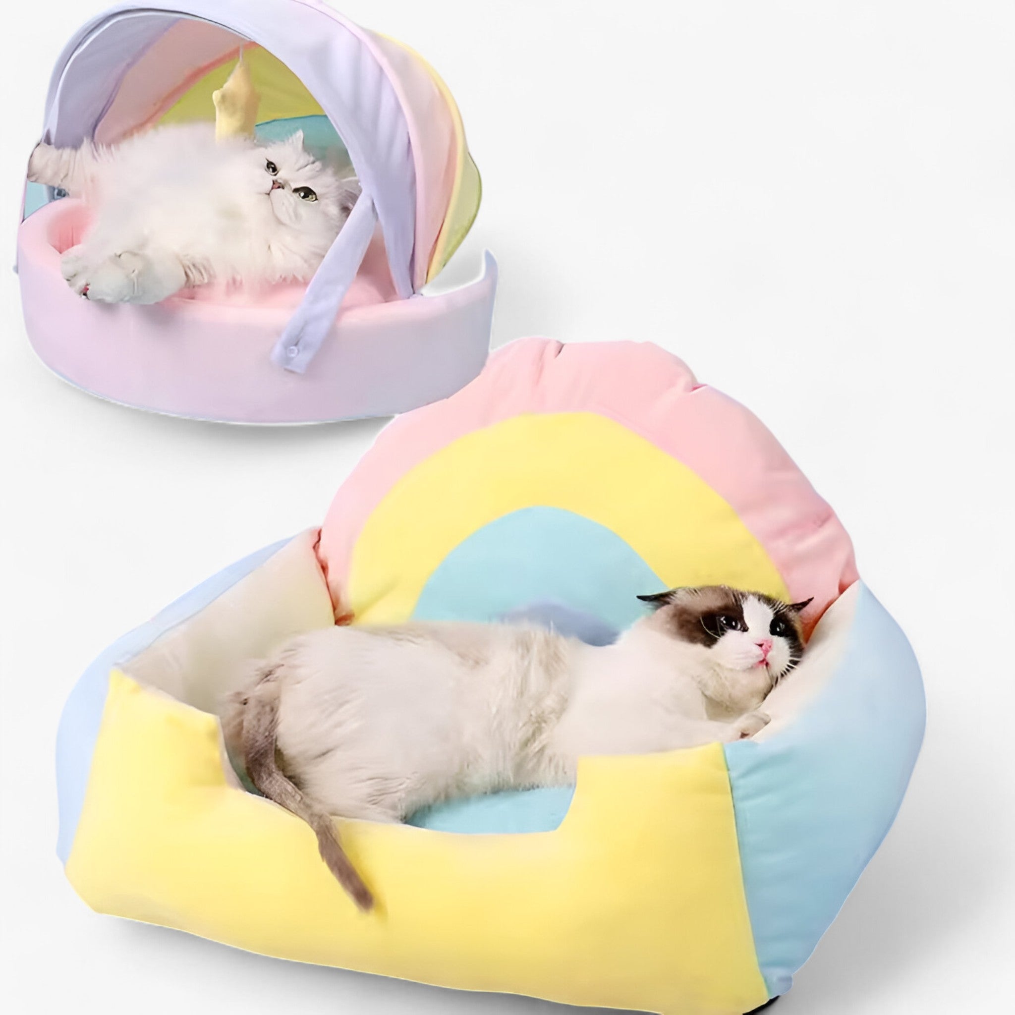 PuffyPaws | Maison pour Chats Arc-en-Ciel