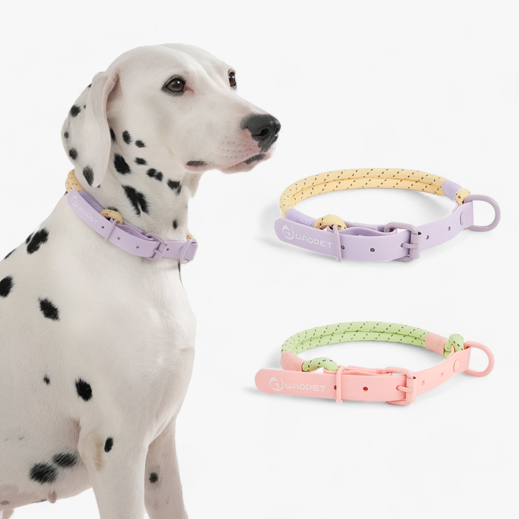 Pawfect Pals | Ensemble de colliers pour chiens