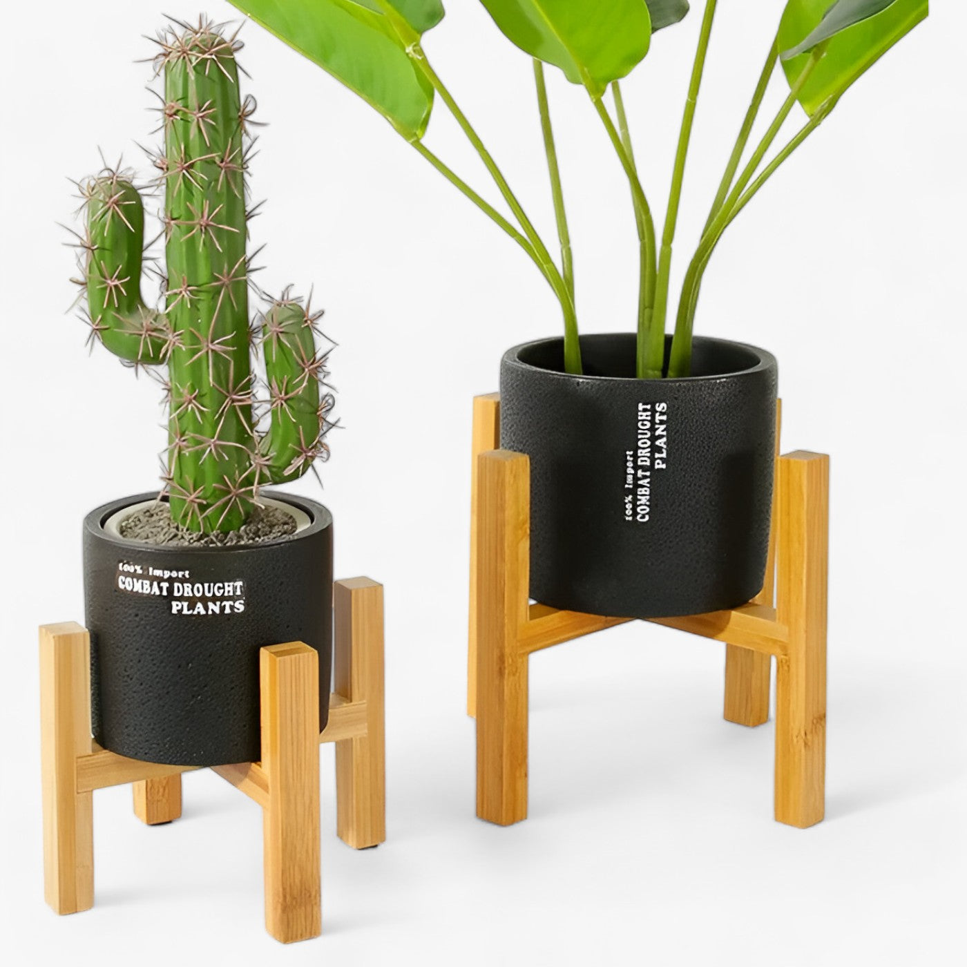 Bonsai | Support de plante en bois - Élégance durable