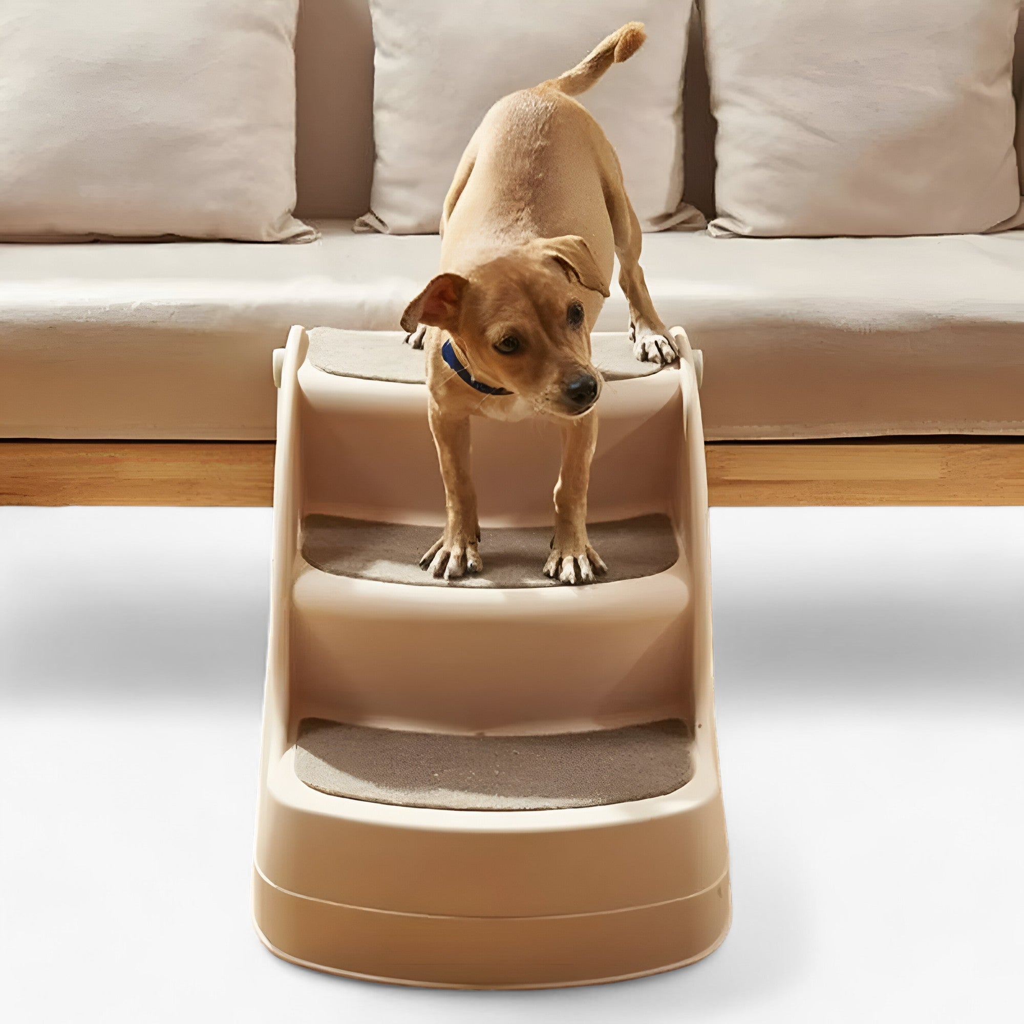 Marley | Escaliers pliables antidérapants pour animaux