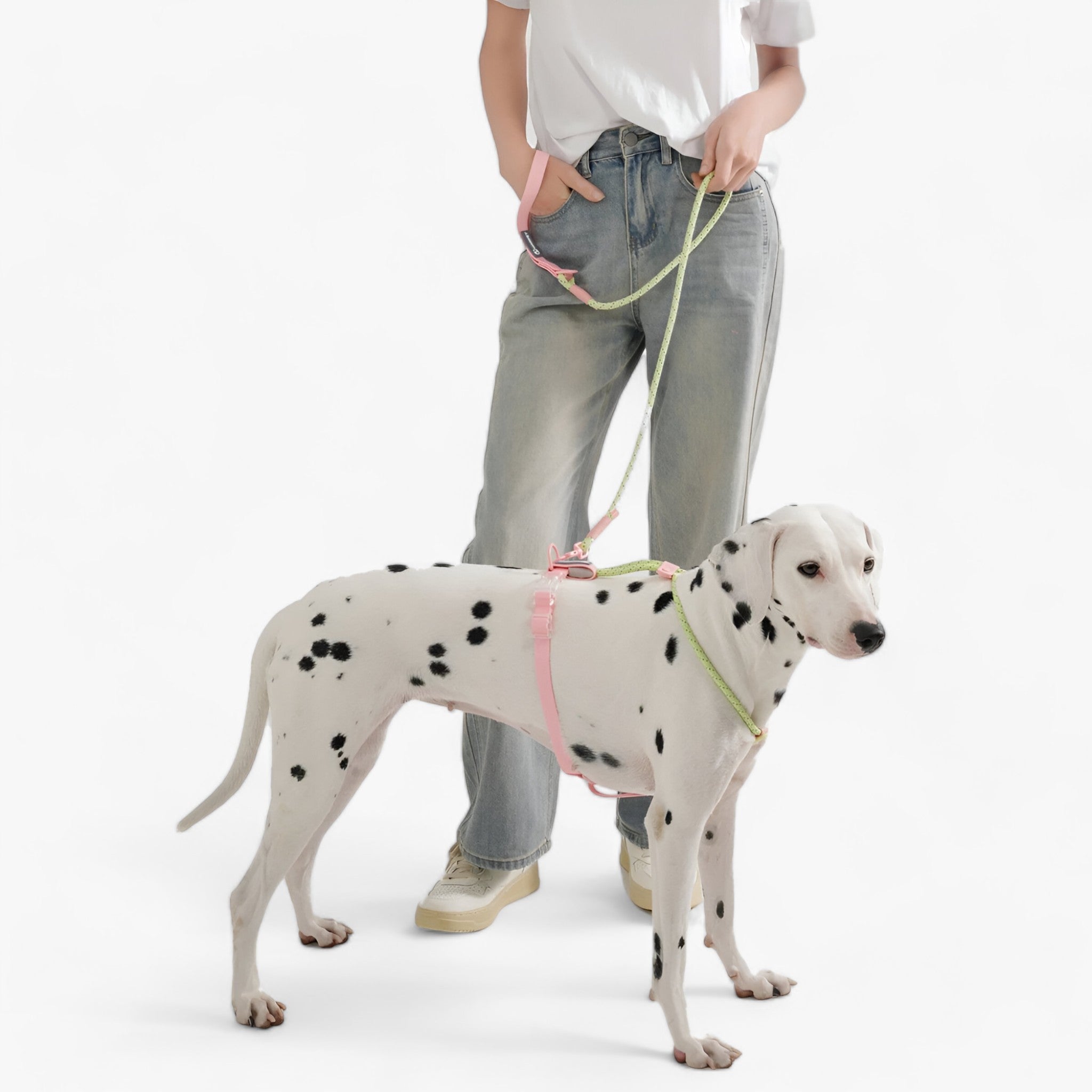 Pawfect Pals | Ensemble de colliers pour chiens